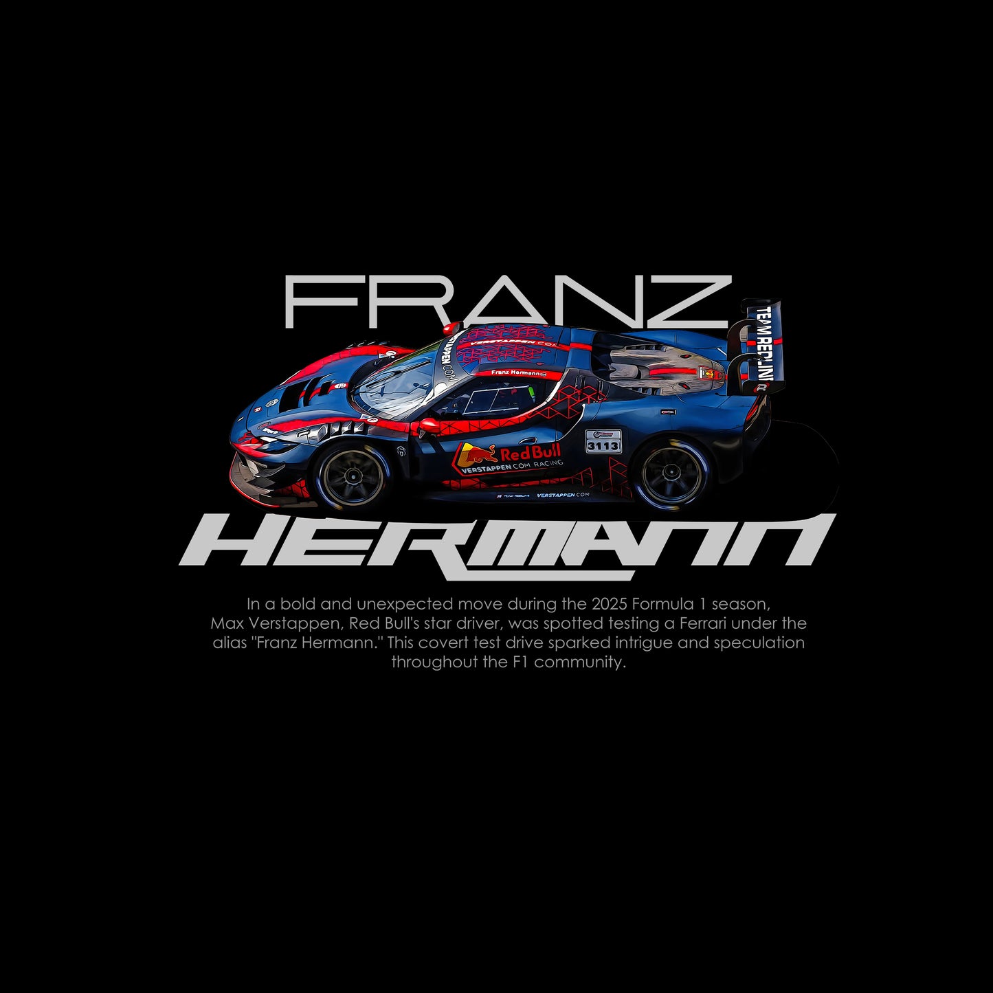 Franz Hermann - Max Verstappen - Oversized T Shirt